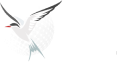 BIG Academy